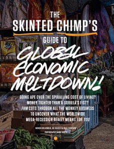 Guide to the Global Economic Meltdown